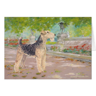 Ombre de l'après-midi