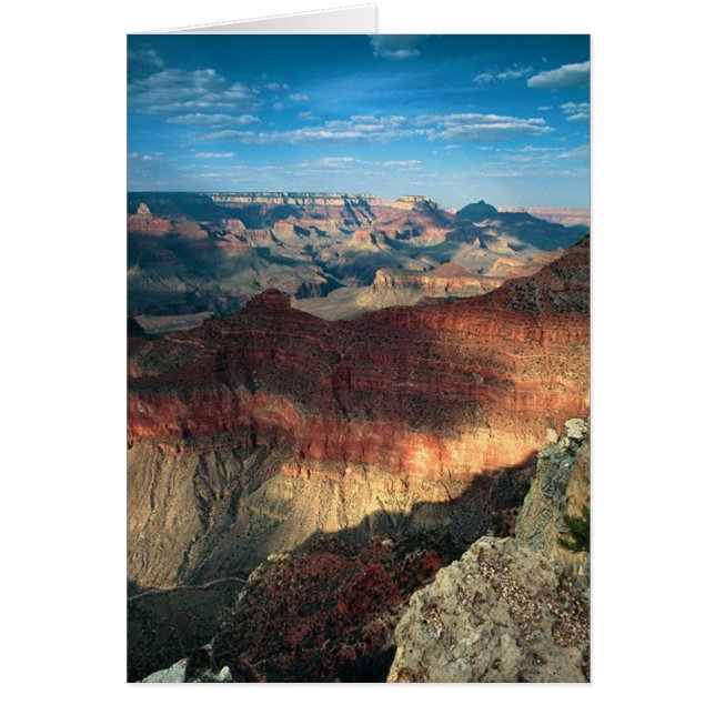 Ombres après-midi (Devant)