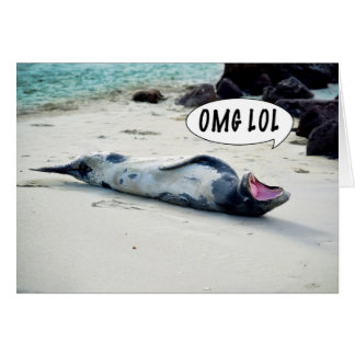 OMG LOL SEAL
