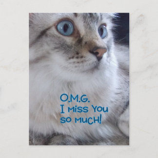OMG Vous me manquez Cartes postales