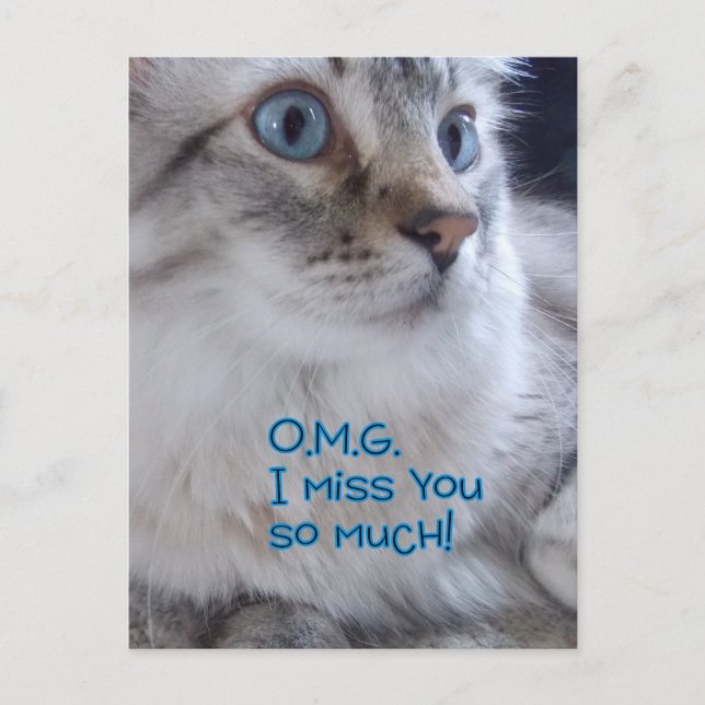 OMG Vous me manquez Cartes postales (Devant)