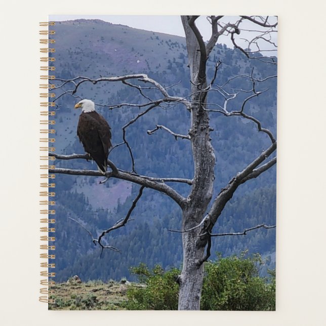 On Watch Planner (Devant)