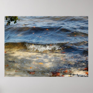 Ondes océaniques et affiche feuille
