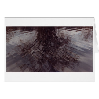 Ondes se croisant dans un étang