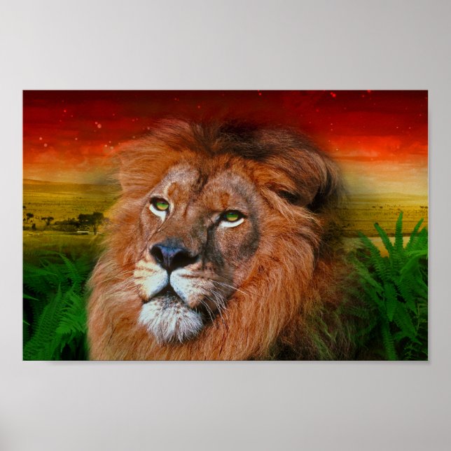 One Love Lion II - Poster / Imprimer (Devant)