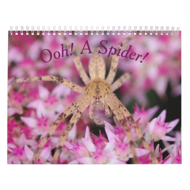 Ooh, Un Araignée ! Calendrier (Protection)