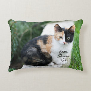 Opéra Coussin d'accenture de chat fantôme