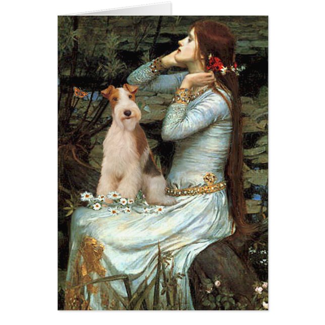 Ophelia assise - Fox-Terrier à poil dur 3 (Devant)