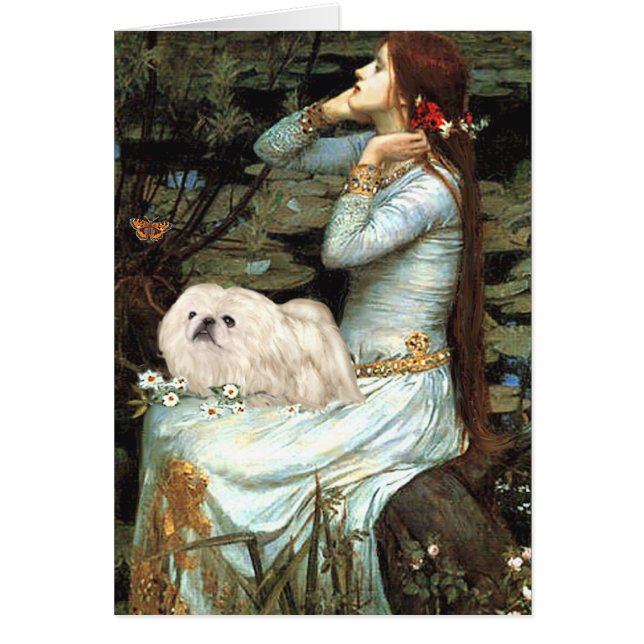 Ophelia - Pékinois blanc 4 (Devant)