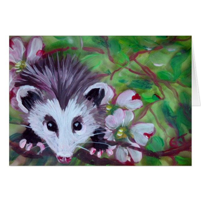 opossum de bébé (Devant horizontal)