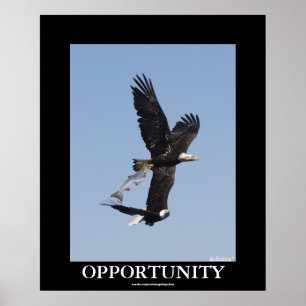 Opportunité Aigles chauves Motivationnel Poster ph