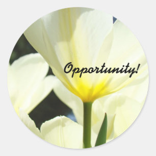 Opportunité ! autocollants Boss Gérer Bureau Tulip