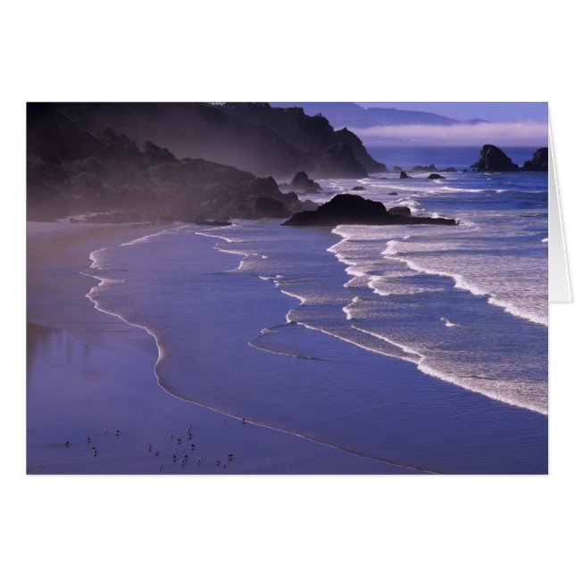 OR, côte de l'Oregon, Ecola SP, Indian Beach avec (Devant horizontal)