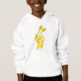 Or d'Aisha