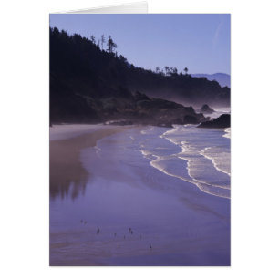 OR, Ecola SP, Indian Beach avec brouillard matinal