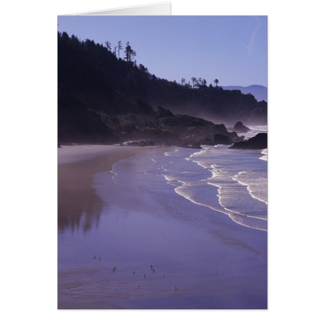 OR, Ecola SP, Indian Beach avec brouillard matinal (Devant)