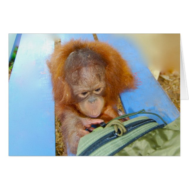 Orang-outan Snoopy de bébé (Devant horizontal)