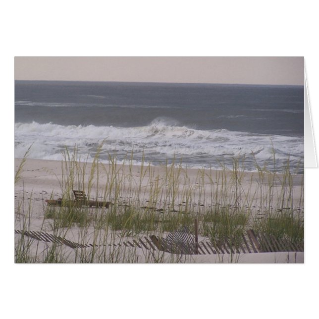 Orange Beach 63 (Devant horizontal)