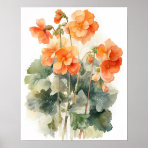 Orange Begonia Flowers Art Imprimer Poster