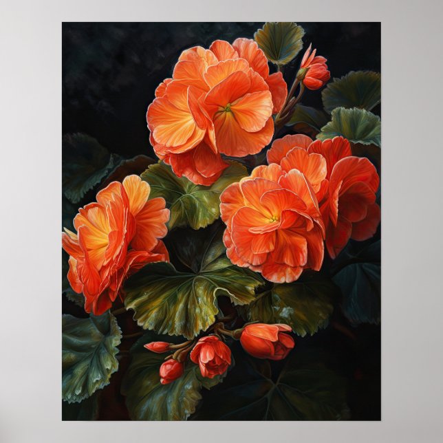 Orange Begonia Flowers Art Imprimer Poster (Devant)