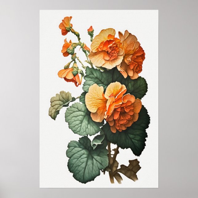 Orange Begonias Flower Art Imprimer Poster (Devant)