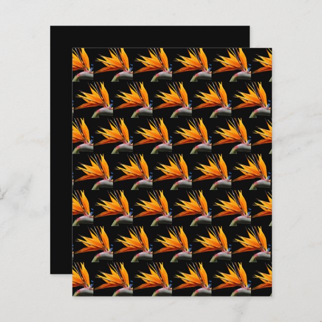 Orange Bird of Paradise Black Scrapbook Paper (Devant / Derrière)