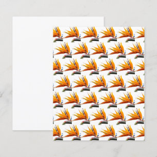 Orange Bird of Paradise Motif Papier à papier à mo