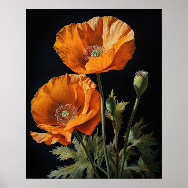 Orange California Poppy Flowers Art Print Poster (Devant)