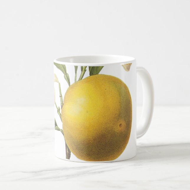 orange(Citrus sp.) par Redouté Coffee Mug (Devant droit)