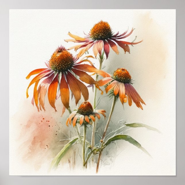 Orange Coneflowers Art Print Poster (Devant)