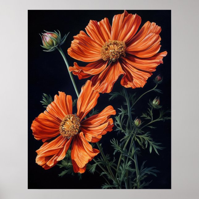 Orange Cosmos Fleurs Art Imprimer Poster (Devant)