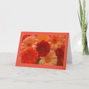 Orange Daisy Flowers Photo Greeting ou Cartes de N