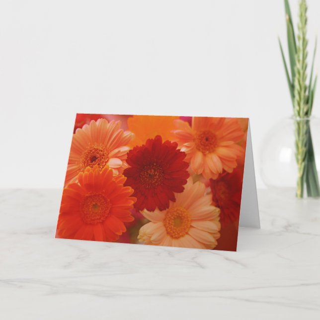 Orange Daisy Flowers Photo Note ou Carte de voeux (Devant)