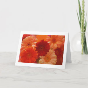 Orange Daisy Flowers Photo Note ou Cartes de voeux