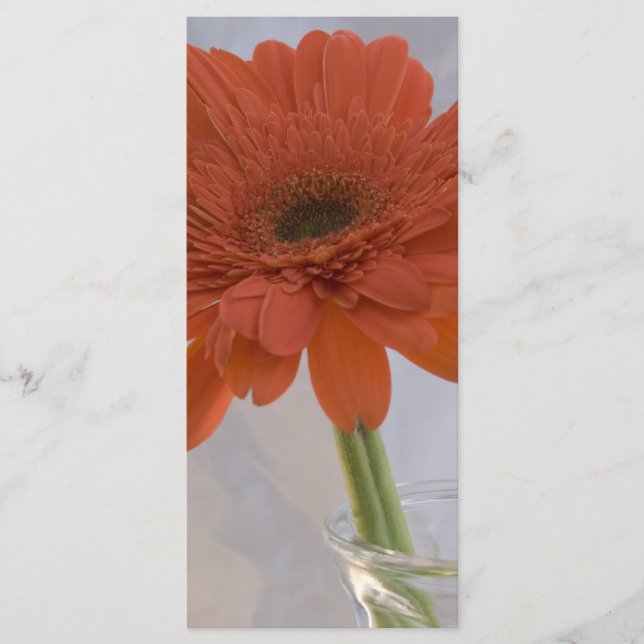 Orange Daisy in Vase Wedding Programme (Devant)