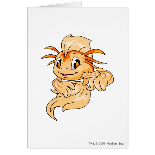 Orange de Koi (Devant)