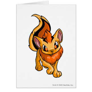 Orange de Xweetok