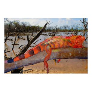 Orange et lézard noir en Margarita Poster brillant