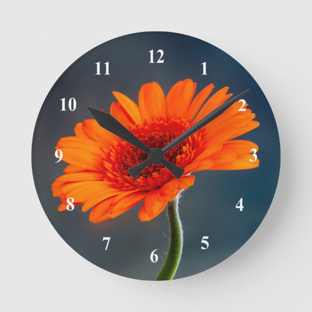 Orange Gerbera Acrylique horloge murale (Recto)