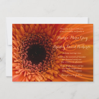 Orange Gerbera Daisy Macro Faire-part de mariage