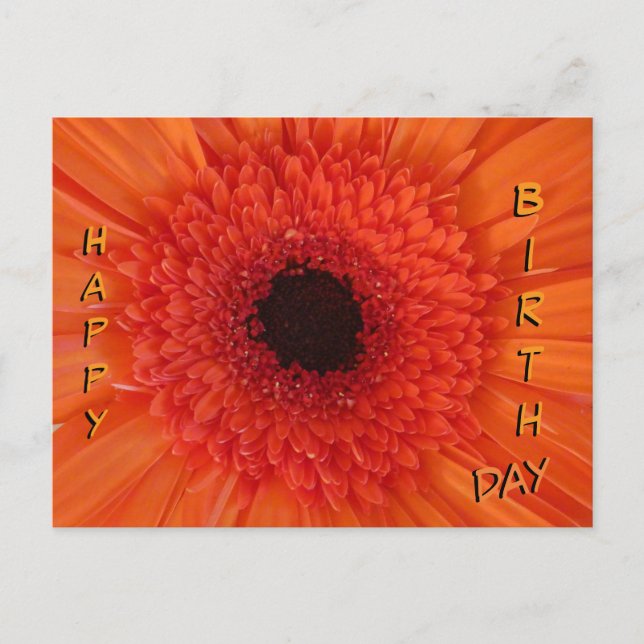 Orange Gerbera Gros plan Carte postale Joyeuse Ann (Devant)