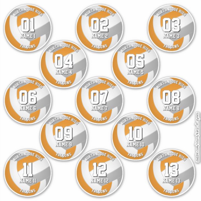 orange gray volleyball team stickers 13 athletes (Devant)