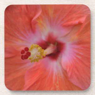 Orange Hibiscus Cork Dessous de verre