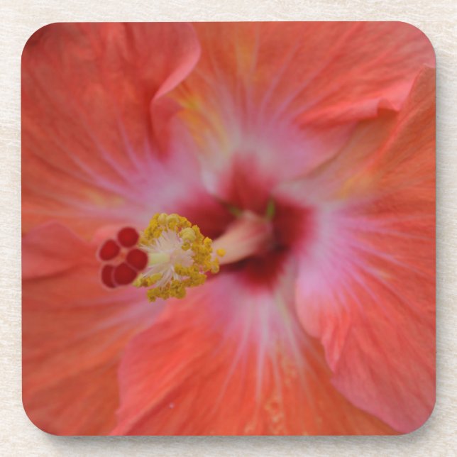 Orange Hibiscus Cork Dessous de verre (Devant)