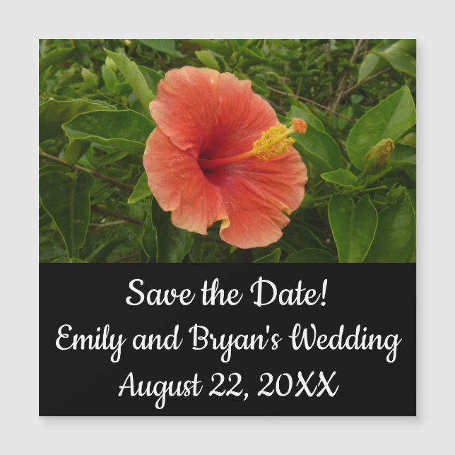 Orange Hibiscus Fleur Tropical Floral (Devant)