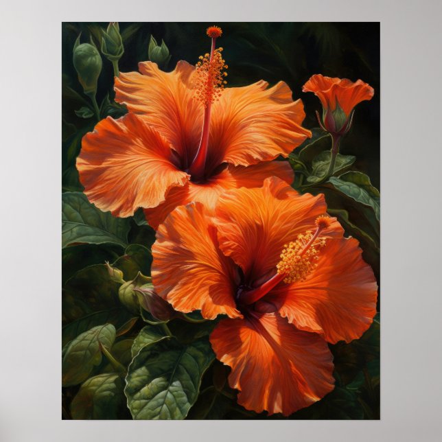 Orange Hibiscus Fleurs Art Imprimer Poster (Devant)