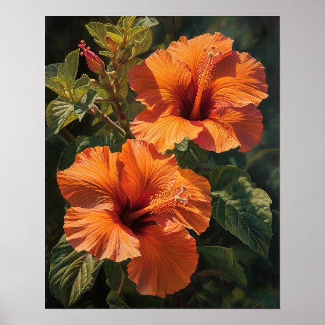 Orange Hibiscus Fleurs Art Imprimer Poster (Devant)