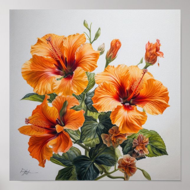 Orange Hibiscus Flower Art Imprimer Poster (Devant)