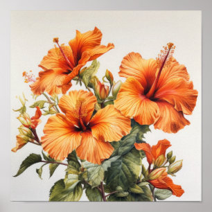 Orange Hibiscus Flower Art Imprimer Poster