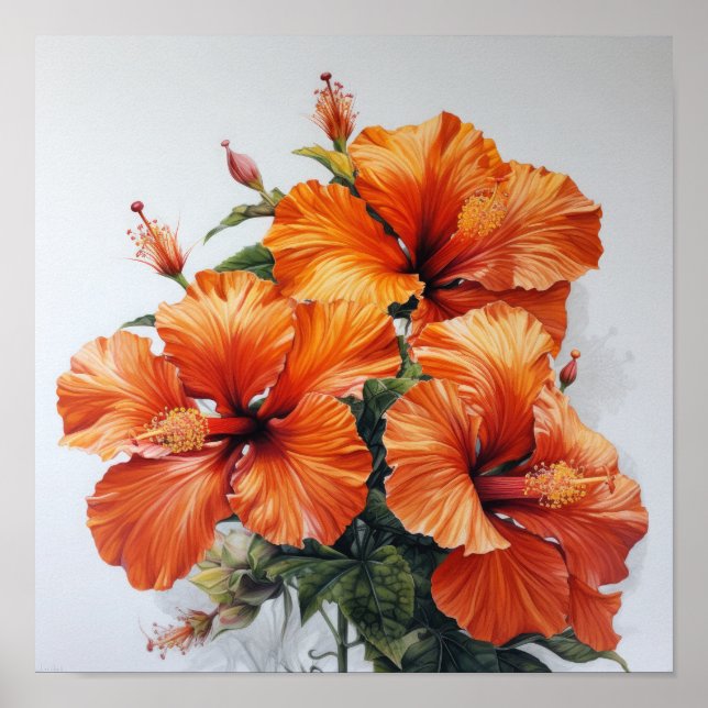 Orange Hibiscus Flower Art Imprimer Poster (Devant)